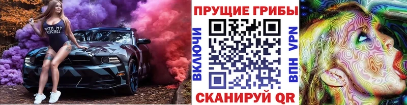 наркота Шагонар Галлюциногенные грибы прущие грибы